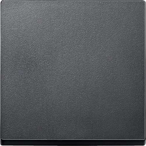 Anthracite Single Key Elegance with reference MTN433114 from the brand SCHNEIDER ELECTRIC