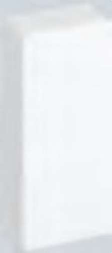 End Cap 20x50mm with reference TMA104203/9 from the brand SIMON
