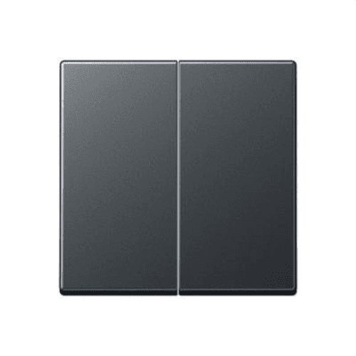 Double Rocker for Double Push Button Switch Jung A Series Matte Anthracite with reference A595BFANM from the brand JUNG
